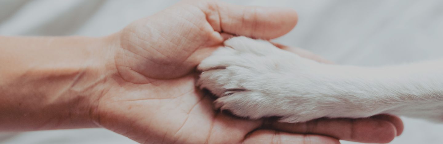 イオンペットの目指す未来 For the Future, With the Community.