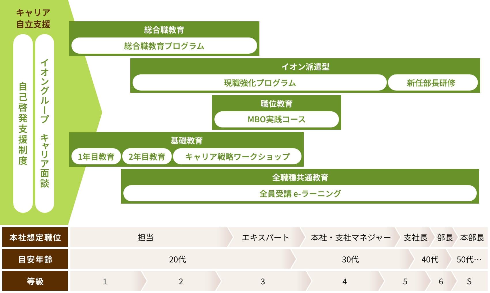 教育体系 全体像