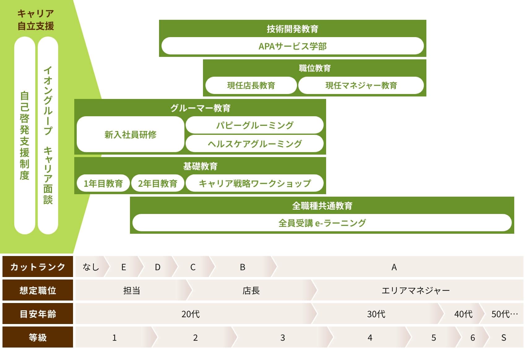 教育体系 全体像
